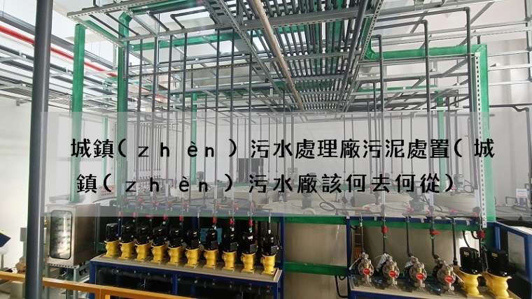 城鎮(zhèn)污水處理廠污泥處置(城鎮(zhèn)污水廠該何去何從)